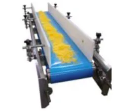 Belt Conveyor System