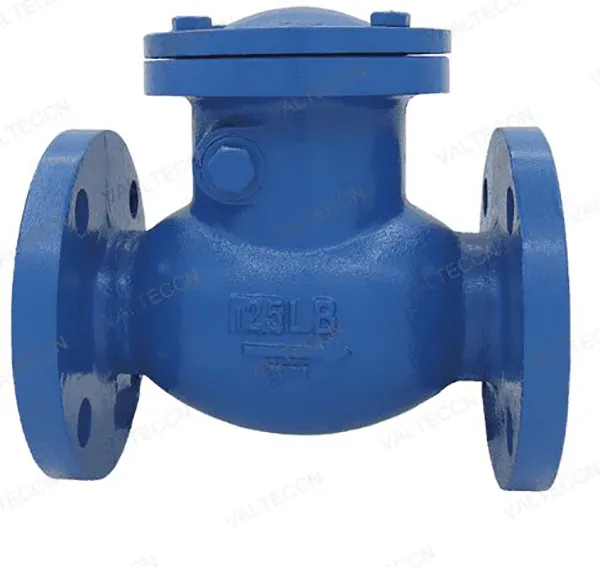 Swing Check Valve