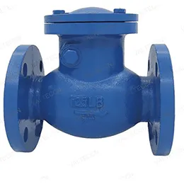 Swing Check Valve