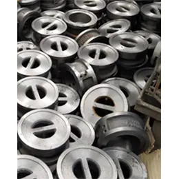 DUAL DISC WAFER TYPE CHECK VALVE