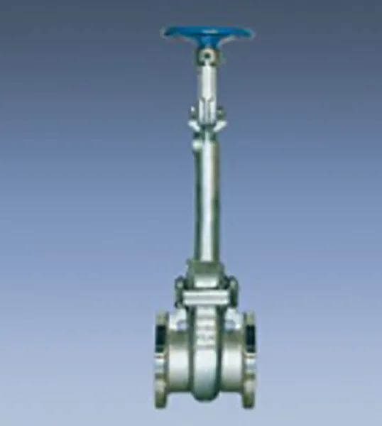 Cast steel cryogenic valves
