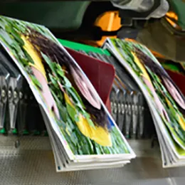 Coated Sheets