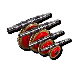 Worm And Worm Wheel