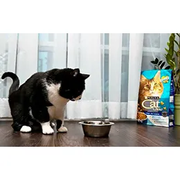 Pet Food
