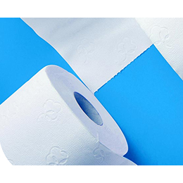 WEPA toilet paper