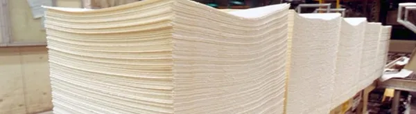 Pulp & Paper