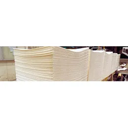Pulp & Paper