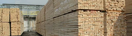 SPF Lumber