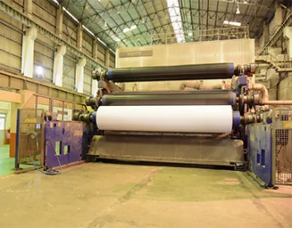Printing & Writing Paper