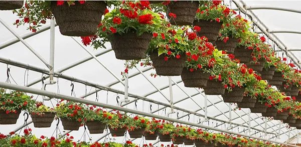 NURSERY CONTAINERS