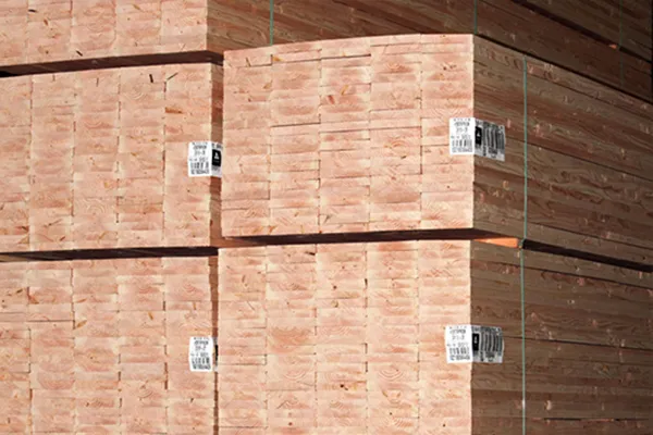 PREMIUM GREEN DOUGLAS-FIR