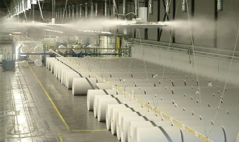 Tissue Mother Roll