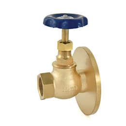 Bronze Globe Valve (One Side Flanged) with PTFE Seating